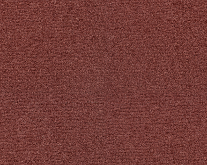 Celeste - 121 Koralle